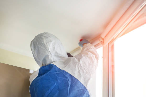 Best Attic Mold Removal  in Haverhill, MA