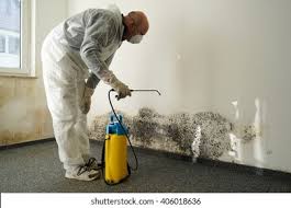  Haverhill, MA Mold Removal & Remediation Pros